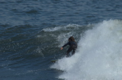 DSC_1636.NEF