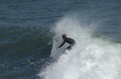 DSC_1639.NEF