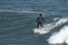 DSC_1640.NEF