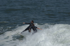 DSC_1641.NEF