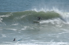 DSC_1644.NEF