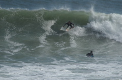 DSC_1645.NEF