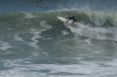 DSC_1646.NEF