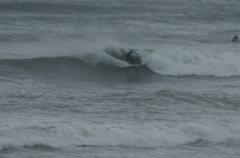 DSC_1605.NEF