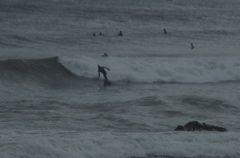 DSC_1606.NEF