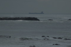 DSC_1608.NEF